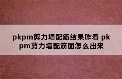 pkpm剪力墙配筋结果咋看 pkpm剪力墙配筋图怎么出来